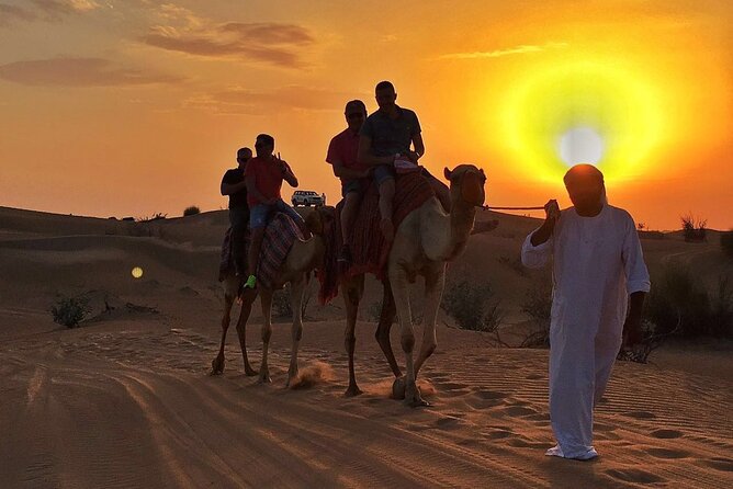 Dubai Evening Desert Safari With BBQ Dinner at Arabian Heritage - Key things that make this safari worth your time