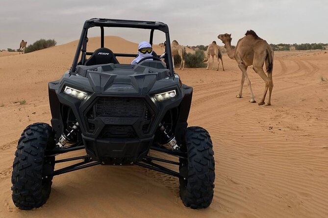 Dubai: Extreme Red Dune Buggy Desert Safari Adventure - Sandboarding on the Highest Dune: Thrills Plus Desert Views