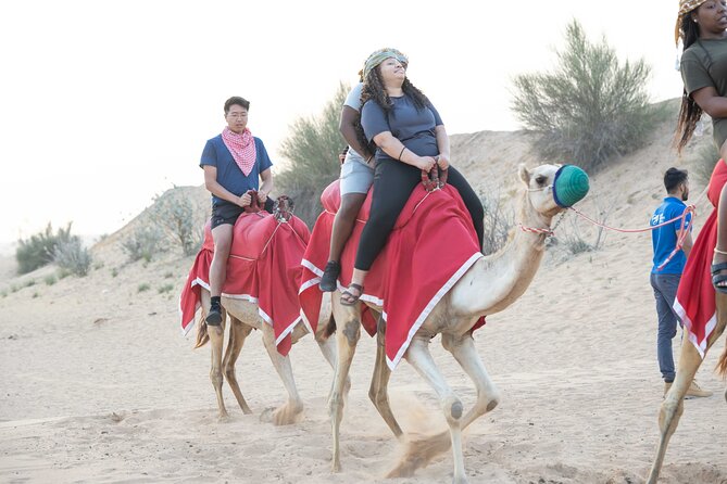 Dubai Half-day Red Dunes bashing with Sandboarding, Camel &Falcon - The 4 Hours 30 Minutes Plan: What You Actually Get