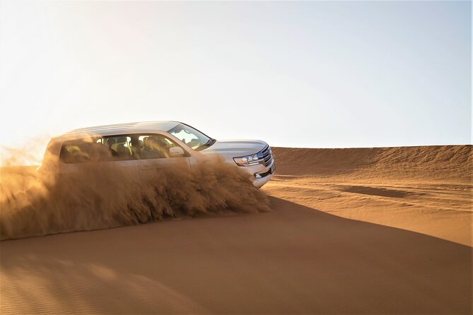 Dubai Half-day Red Dunes bashing with Sandboarding, Camel &Falcon - Price and Value: What $34.89 Buys You