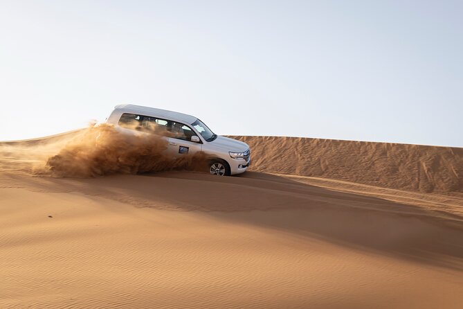 Dubai Half-day Red Dunes bashing with Sandboarding, Camel &Falcon - From Dubai Pickup to Lahbab Dunes: Easy Transport, Quick Arrival
