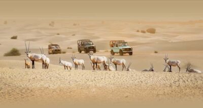 Dubai: Heritage Safari, Camel Ride & Al Marmoom Oasis Dinner - The vintage Mercedes G-Class ride (and why it’s more than a transfer)