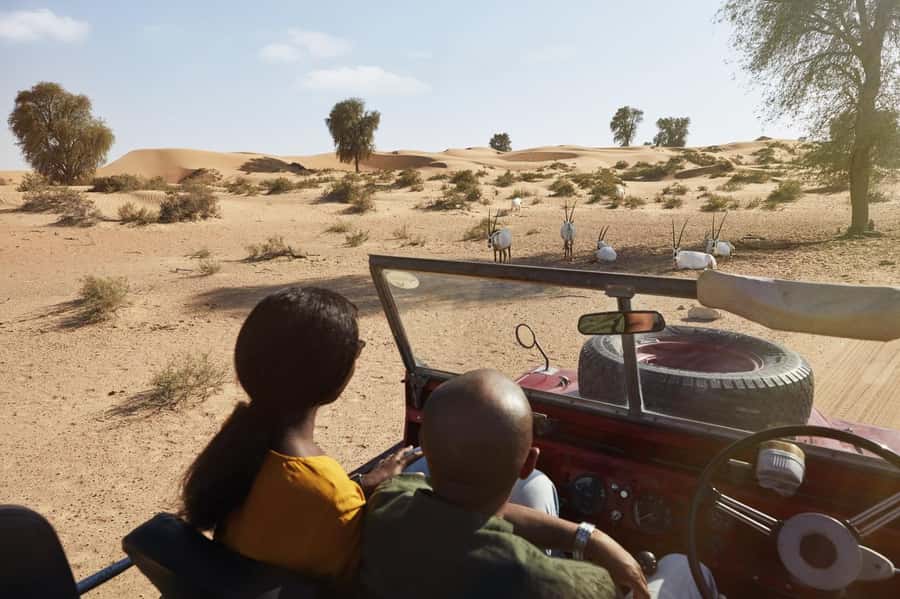 Dubai: Heritage Safari in Vintage Land Rover with Dinner - The 4-course Emirati dinner and low shared table setup