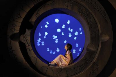 Dubai: Lost Chambers Aquarium Entry Ticket - Ambassador Lagoon: The 11-Million-Litre Headliner