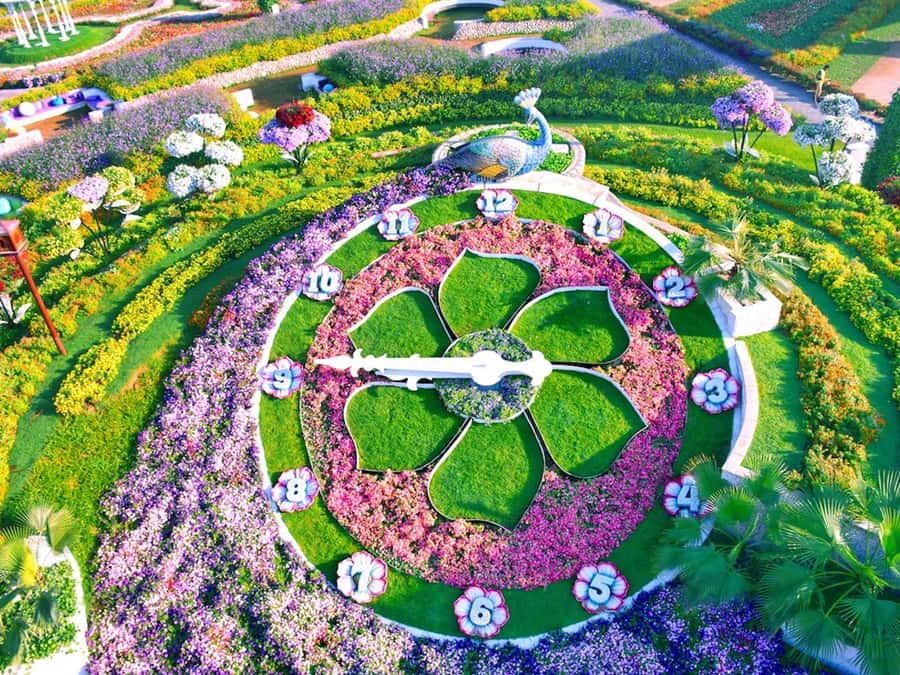 Dubai: Miracle Garden Entry Ticket with Hotel Transfer - Key points you’ll care about