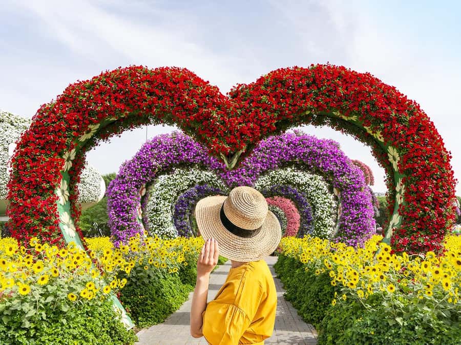 Dubai: Miracle Garden Entry Ticket with Hotel Transfer - Hotel pickup turns a big garden into a relaxed outing