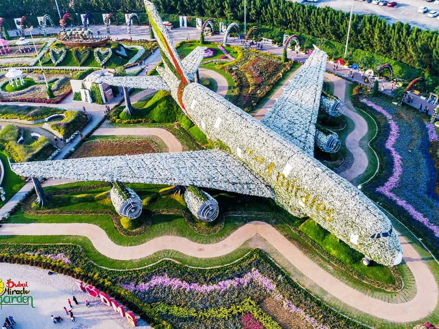 Dubai: Miracle Garden Entry Ticket with Hotel Transfer - The garden’s best “route logic”: start with the icons