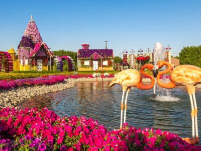 Dubai: Miracle Garden Entry Ticket with Hotel Transfer - Getting there: shared vs private transfer and the timing rules