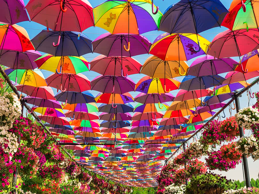 Dubai: Miracle Garden Entry Ticket with Hotel Transfer - Floating Lady and the photo-workout you’ll actually enjoy