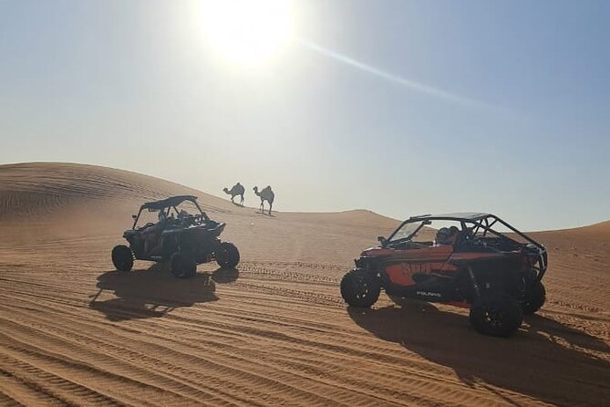 Dubai Morning Buggy Dunes Safari with Sandboarding & Camel Ride - Desert photos and guide help: it’s not just you and your camera