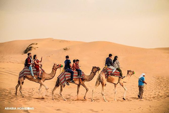 Dubai Premium Desert Safari with Live shows & Gourmet Dinner - Key highlights you’ll notice right away
