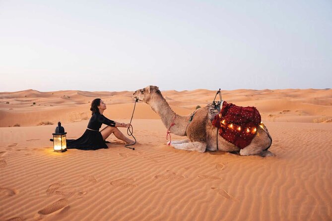 Dubai: Red Dunes Desert Safari, Camel ride, Sandboard, Quad Bike - Key Things I’d Plan Around