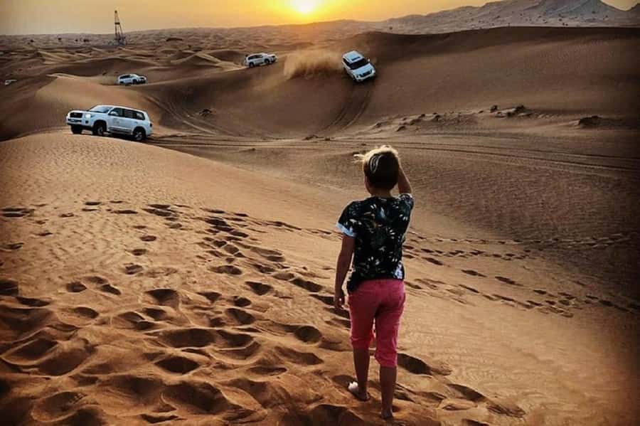 Dubai: Red Dunes Evening Quad Bike, Dune Blast with BBQ - On-dune action: camel ride, sandboarding, falcon photos, and dune bashing