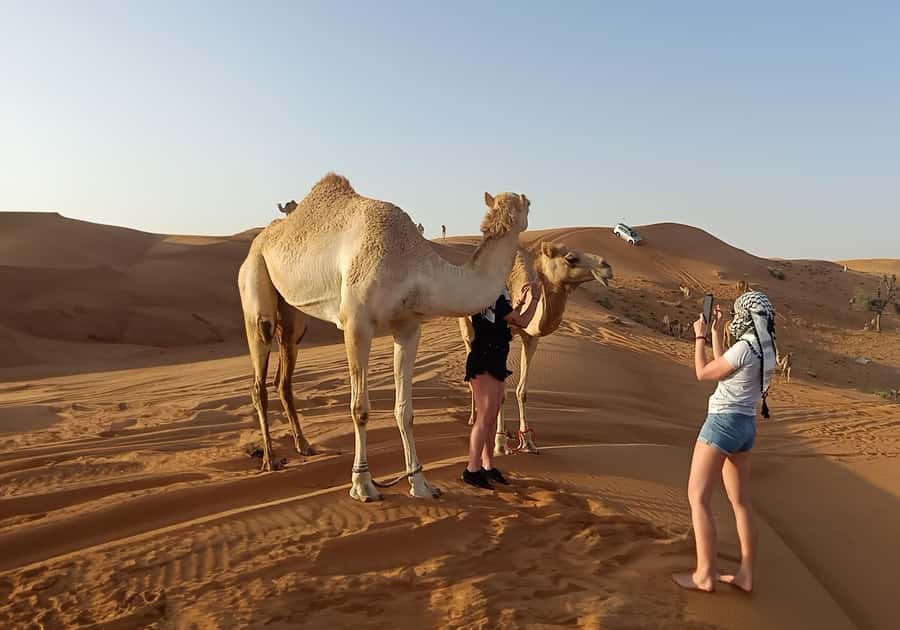 Dubai: Red Dunes Morning Desert Quad, Buggy or 4x4 Ride - Falcon Photos: A Memorable Desert Add-On