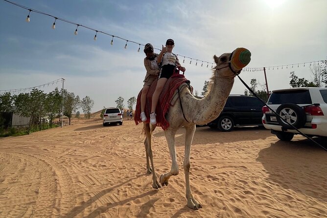 Dubai: Red Dunes, Sandsurf, Camel Ride, BBQ Dinner at Desert Camp - Price and value: what $40 covers (and what costs extra)