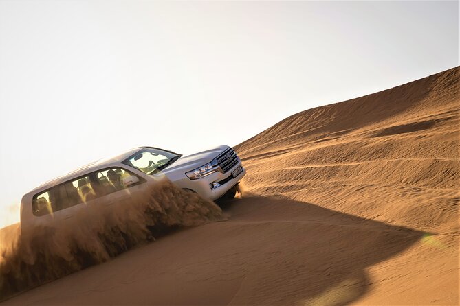Dubai Red Dunes with Sandboarding, Camel Ride, Falcon & VIP Camp - Prime Oscar Tours key highlights you’ll care about