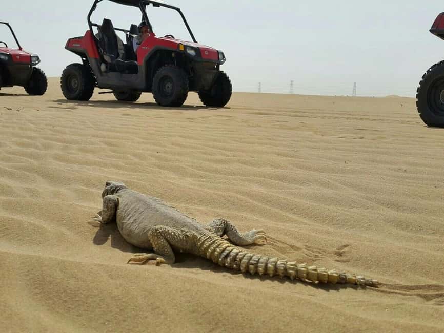 Dubai: Self-Drive Dune Buggy Safari with Pickup and Drop-Off - Key points worth knowing before you go