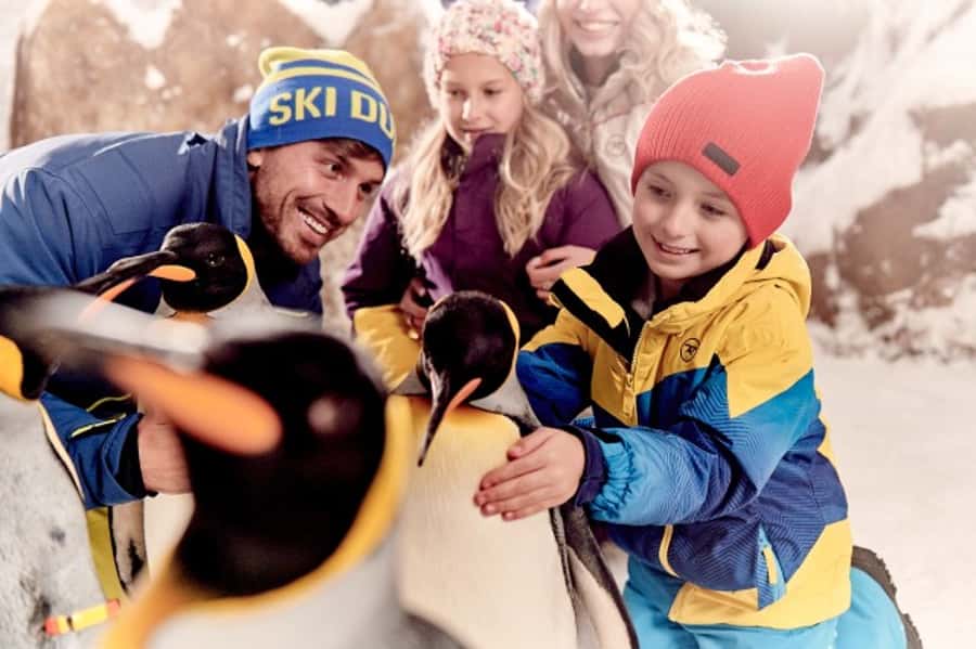 Dubai: Ski Dubai Snow Plus Pass - Snow Cavern Play: Snowballing and Interactive Fun