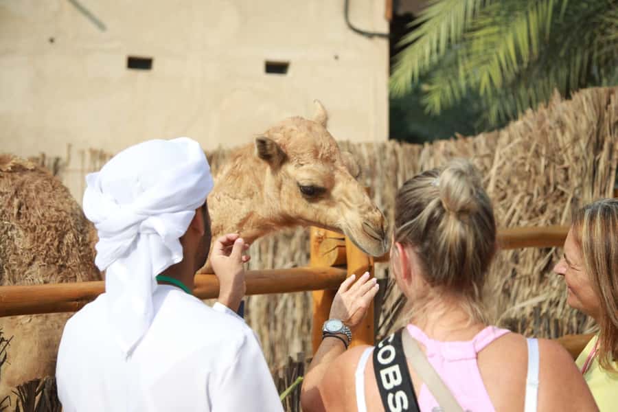Dubai: Stopover City Highlights Tour with Flexible Timing - Burj Al Arab, Atlantis, and the Palm Jumeirah: Icon Views by Car