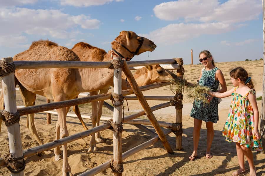 Dubai: Sunset Camel Trek, Al Khayma Camp, Stargazing & BBQ - Key things I’d highlight before you go