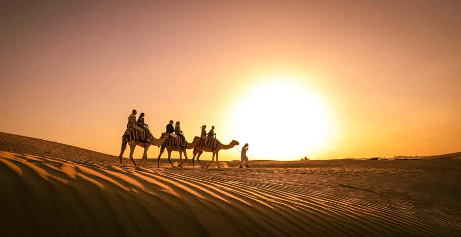 Dubai: Sunset Camel Trek, Al Khayma Camp, Stargazing & BBQ - The Sunset Camel Trek: what the ride really feels like