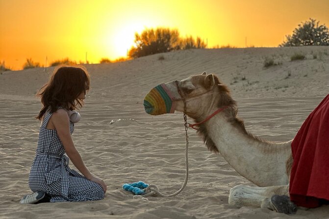Dubai Sunset Red Dune Desert Safari, Sandboarding and Camel Ride - Camel Ride Time: A Quick Cultural Moment