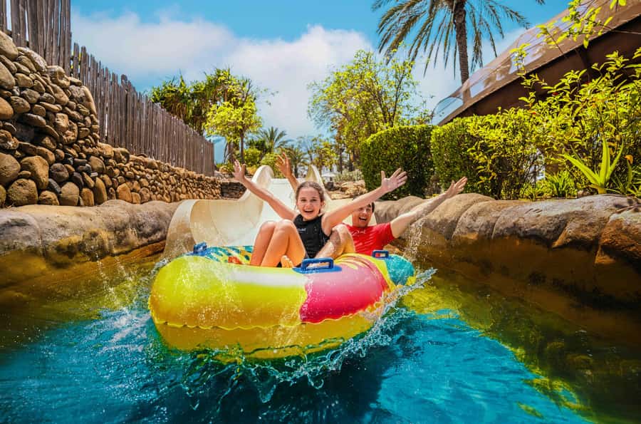 Dubai: Wild Wadi Waterpark Entrance Ticket - Key highlights worth planning around