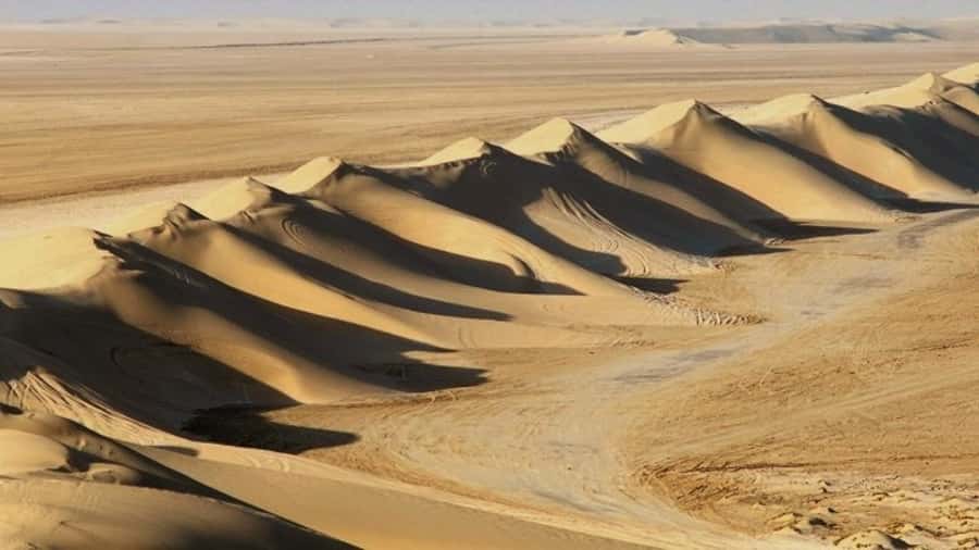Dune Bashing, Sandboarding, Camel Ride & Optional ATV Ride - Key Things I’d Pay Attention To