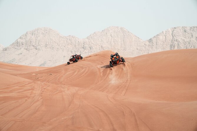 Dune Buggy Experience and Dinner at Mleiha Archaeological Center - Dinner at the Mleiha Archaeological Center: food plus a sense of place
