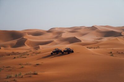 Dune Buggy Experience & Fossil Discovery in Mleiha National Park - Desert Fox buggy ride: what you actually get for your money