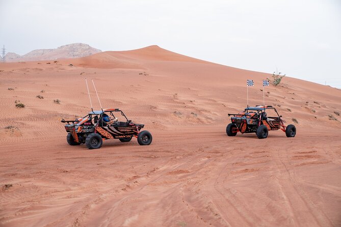 Dune Buggy Experience & Fossil Discovery in Mleiha National Park - Fossil Rock: the rare stop that turns a thrill ride into learning