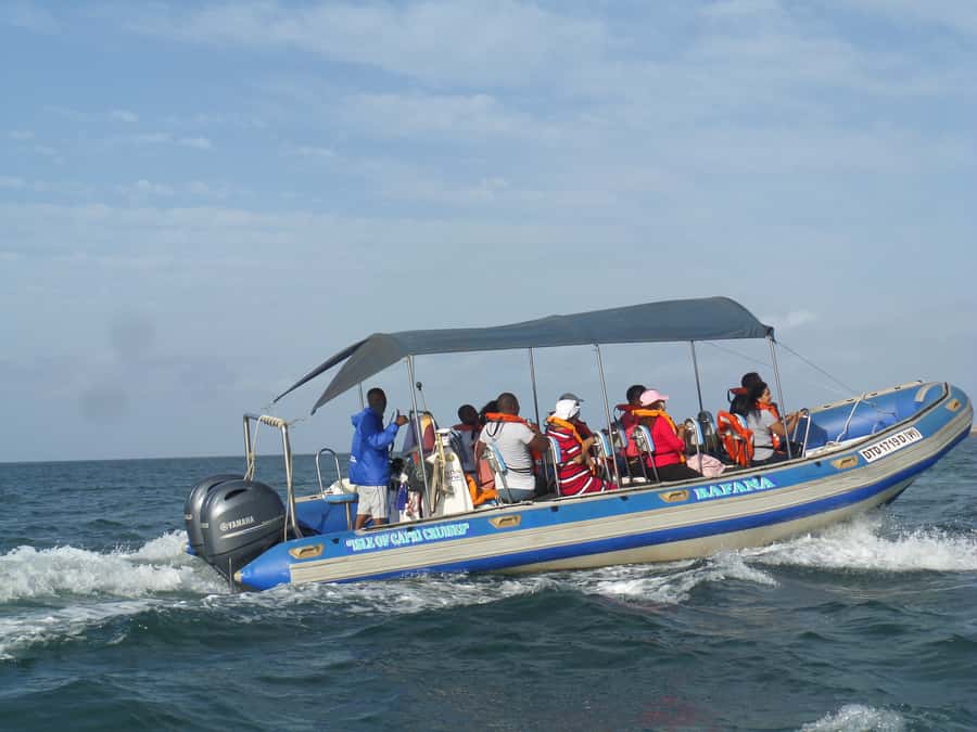 Durban: 1-Hour Boat Cruise from Wilson's Wharf - Quick hits before you cast off