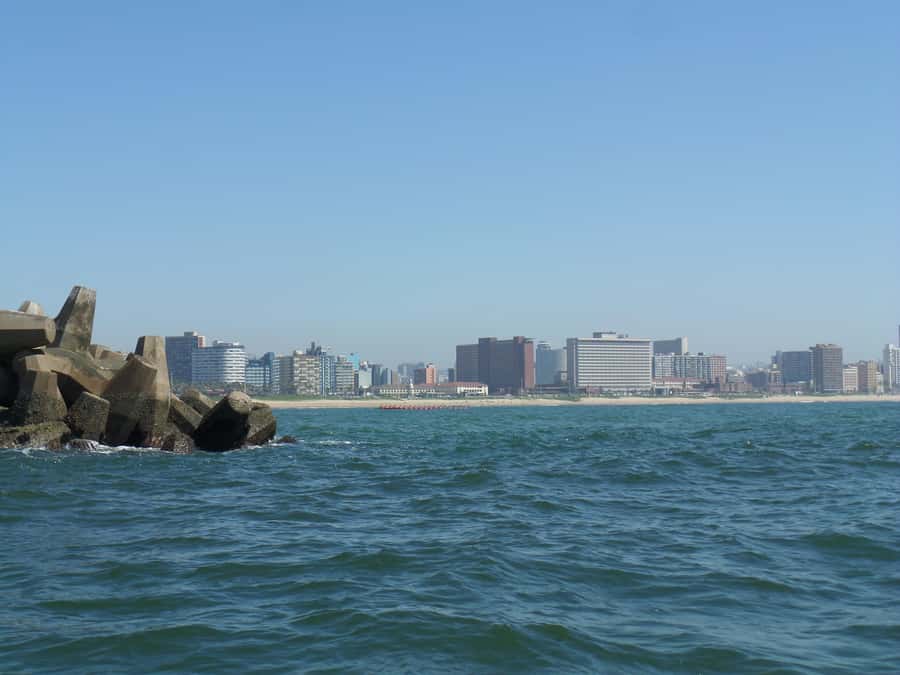 Durban: 1-Hour Boat Cruise from Wilson's Wharf - Who this cruise fits best (and who might want to skip)