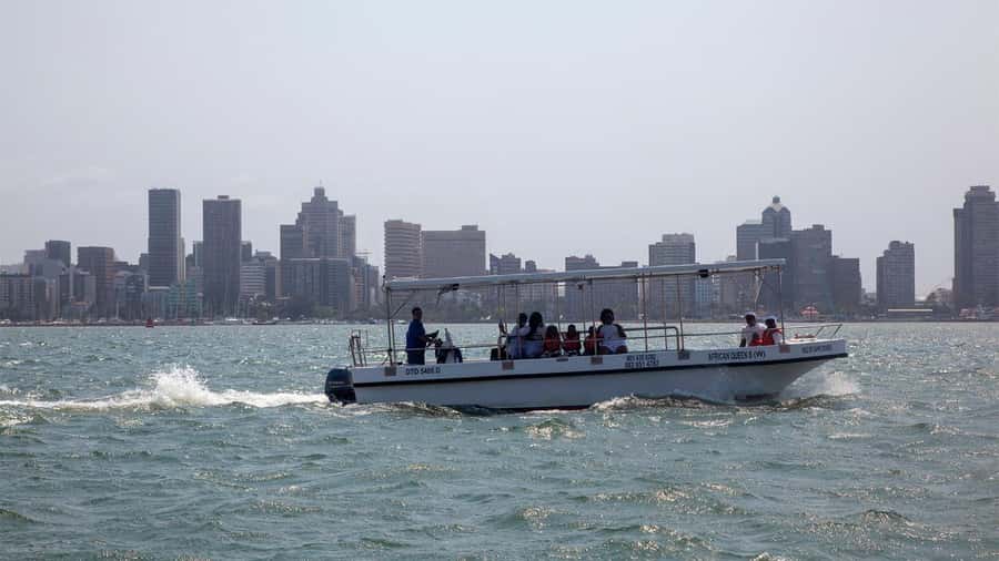 Durban: 1-Hour Boat Cruise from Wilson's Wharf - Durban harbour in action: ships, routes, and the work of the port