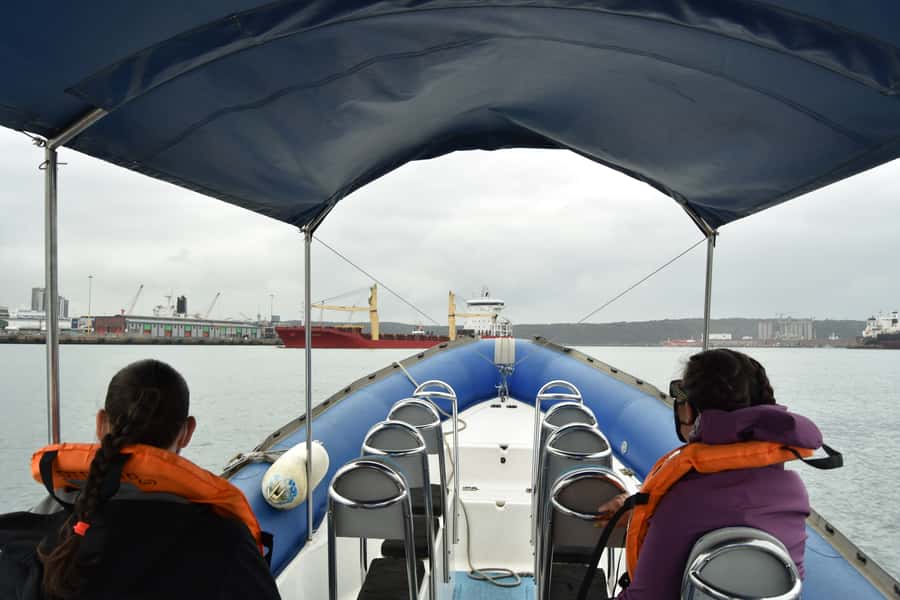 Durban: 1-Hour Boat Cruise from Wilson's Wharf - Skyline photos: when angles matter (and motion helps)