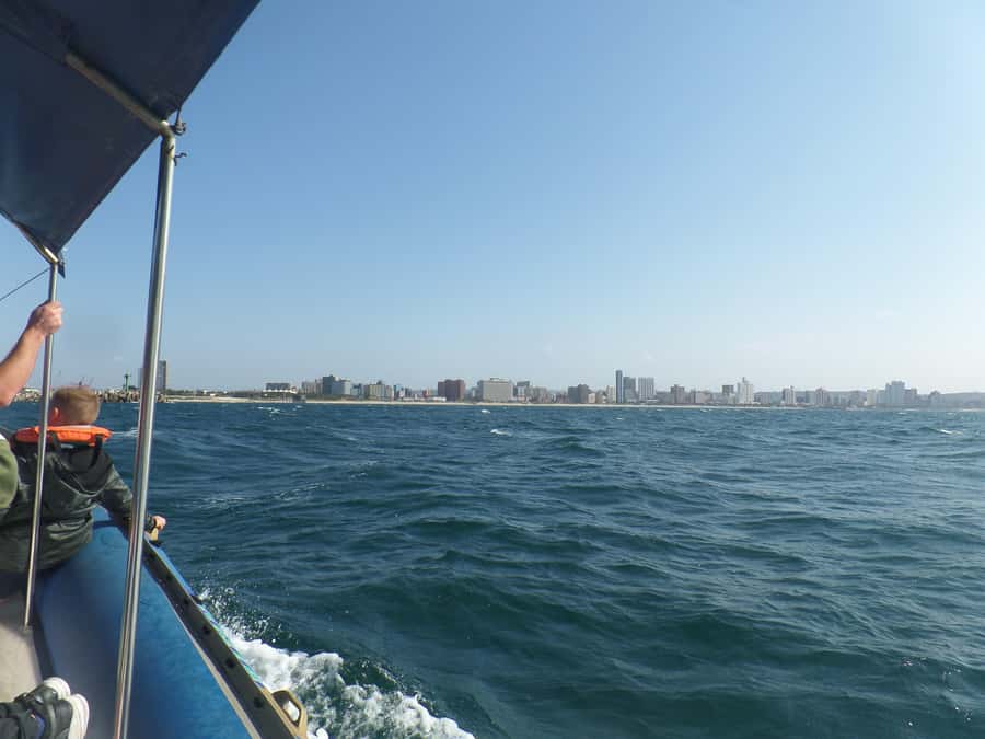 Durban: 1-Hour Boat Cruise from Wilson's Wharf - Timing, cost, and why one hour can be the smart move