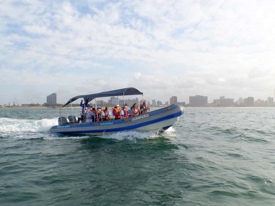 Durban: 1-Hour Boat Cruise from Wilson's Wharf - What to bring (and what to plan for since food isn’t included)