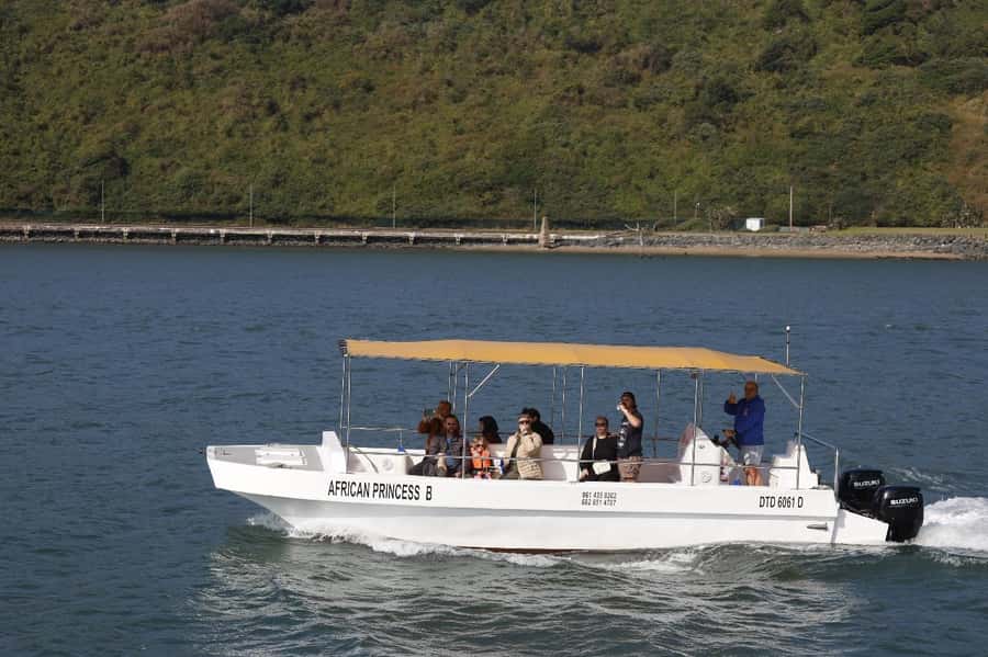 Durban: 30-Minute Harbor Boat Cruise - Watching tugs and cargo work: the part that feels real