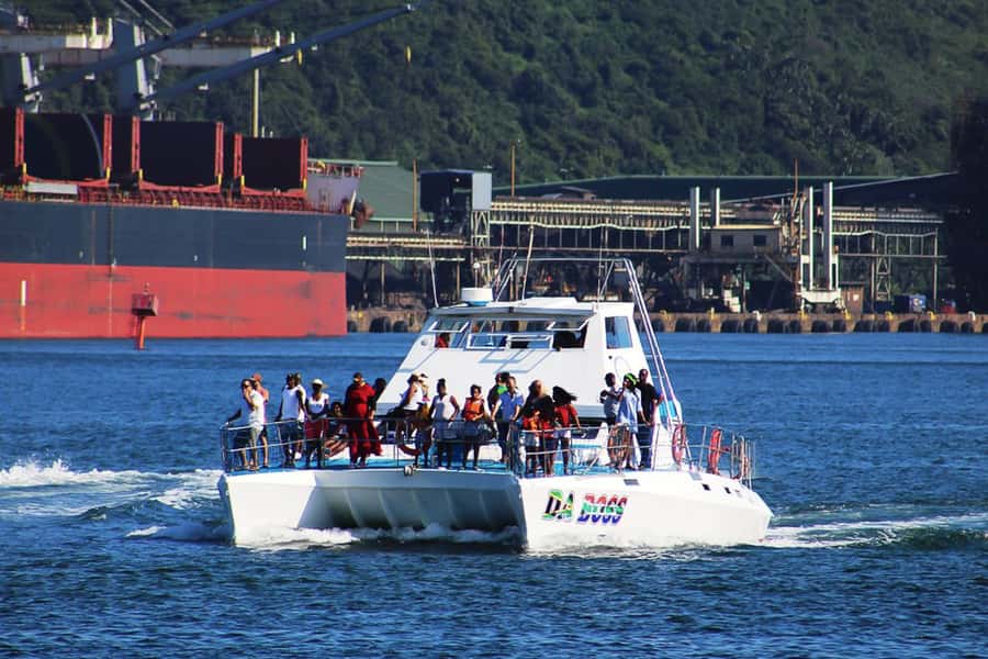 Durban: 30-Minute Harbor Boat Cruise - Birds and skyline photos: what to bring so you can actually enjoy it