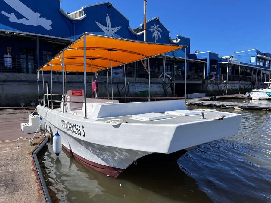 Durban: 30-Minute Harbor Boat Cruise - Children and safety: life jackets, age limits, and realistic expectations