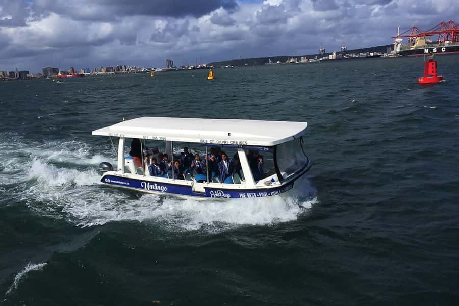 Durban: 30-Minute Harbor Boat Cruise - Timing and route changes: how weather and port conditions shape your ride