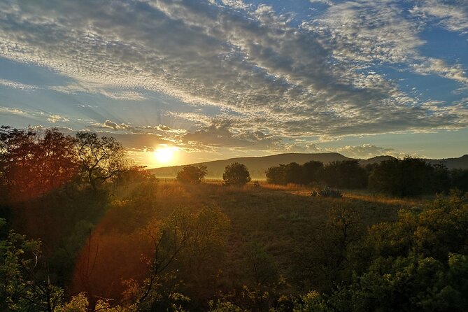 Early Morning Balloon Safari with Breakfast from Magaliesburg - Landing, certificates, and the post-flight vibe