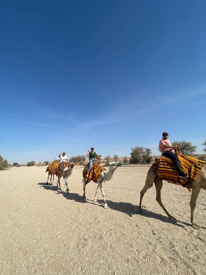 Edge of The World Riyadh,Camel Ride ,Bat Cave Visit & Dinner - The Edge of the World hike: what makes it worth the steps