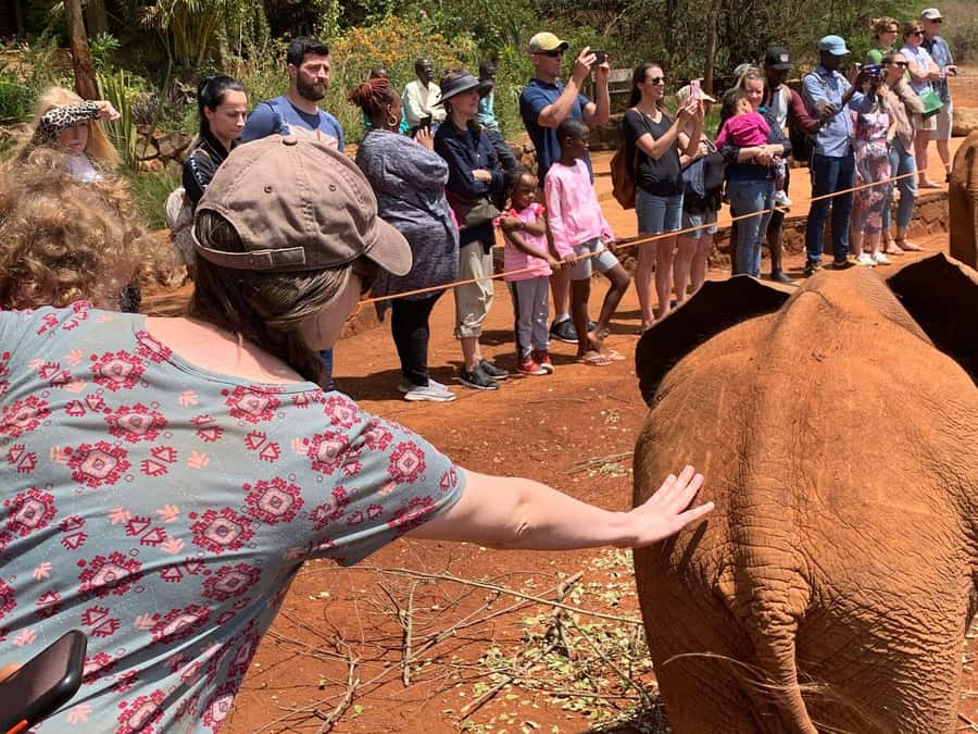Elephant Orphanage and Giraffe Center Tour with Options - Who This Tour Fits Best (and Who Might Want Another Plan)