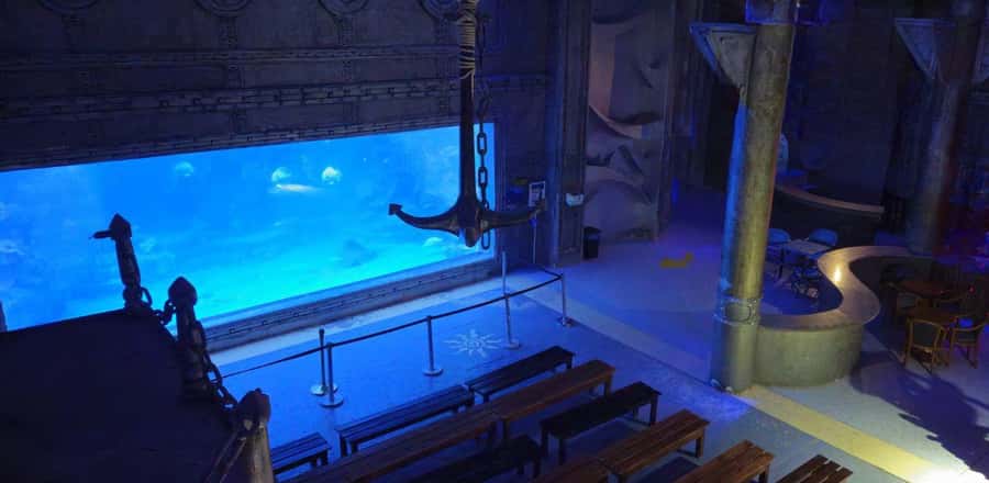 Entry Ticket: Grand Aquarium Hurgada - Quick highlights before you go