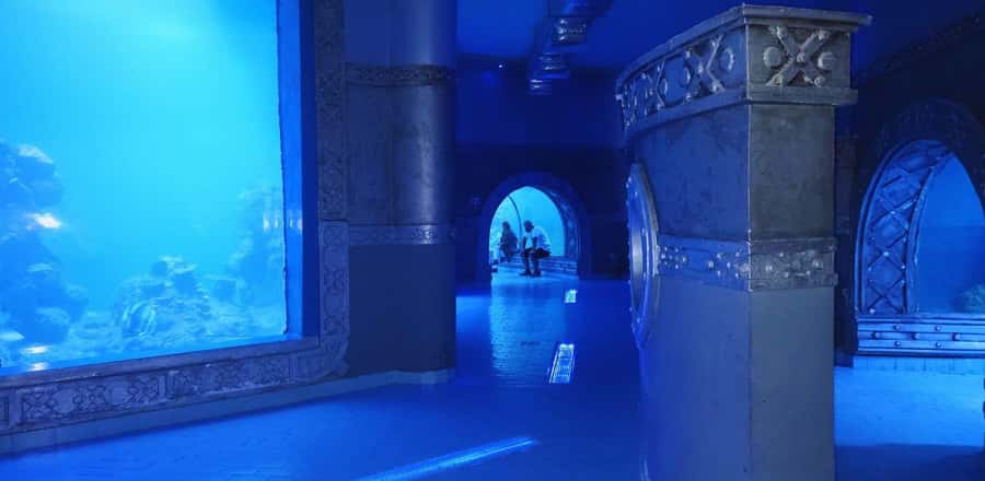 Entry Ticket: Grand Aquarium Hurgada - Hurghada Grand Aquarium: location and timing that actually works
