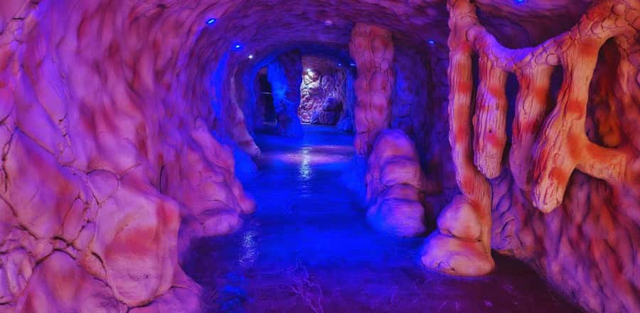Entry Ticket: Grand Aquarium Hurgada - Mini zoo and rescued land animals: what the land section is really like