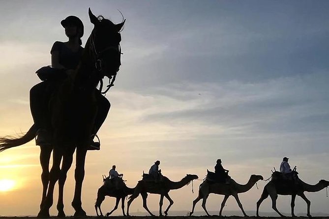 Essaouira Activities: Discover Essaouira by Quad - Key highlights to look forward to