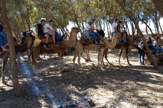 Essaouira Activities: Discover Essaouira by Quad - Pickup, Mobile Tickets, and Getting There from Public Transport