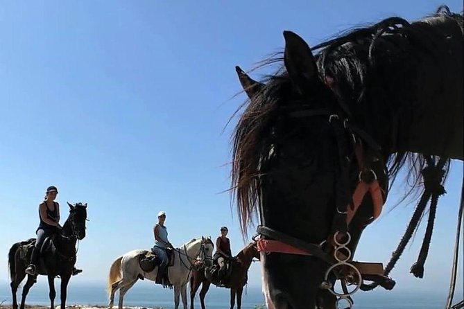 Essaouira Activities: Discover Essaouira by Quad - Price and Value at About $46 Per Person